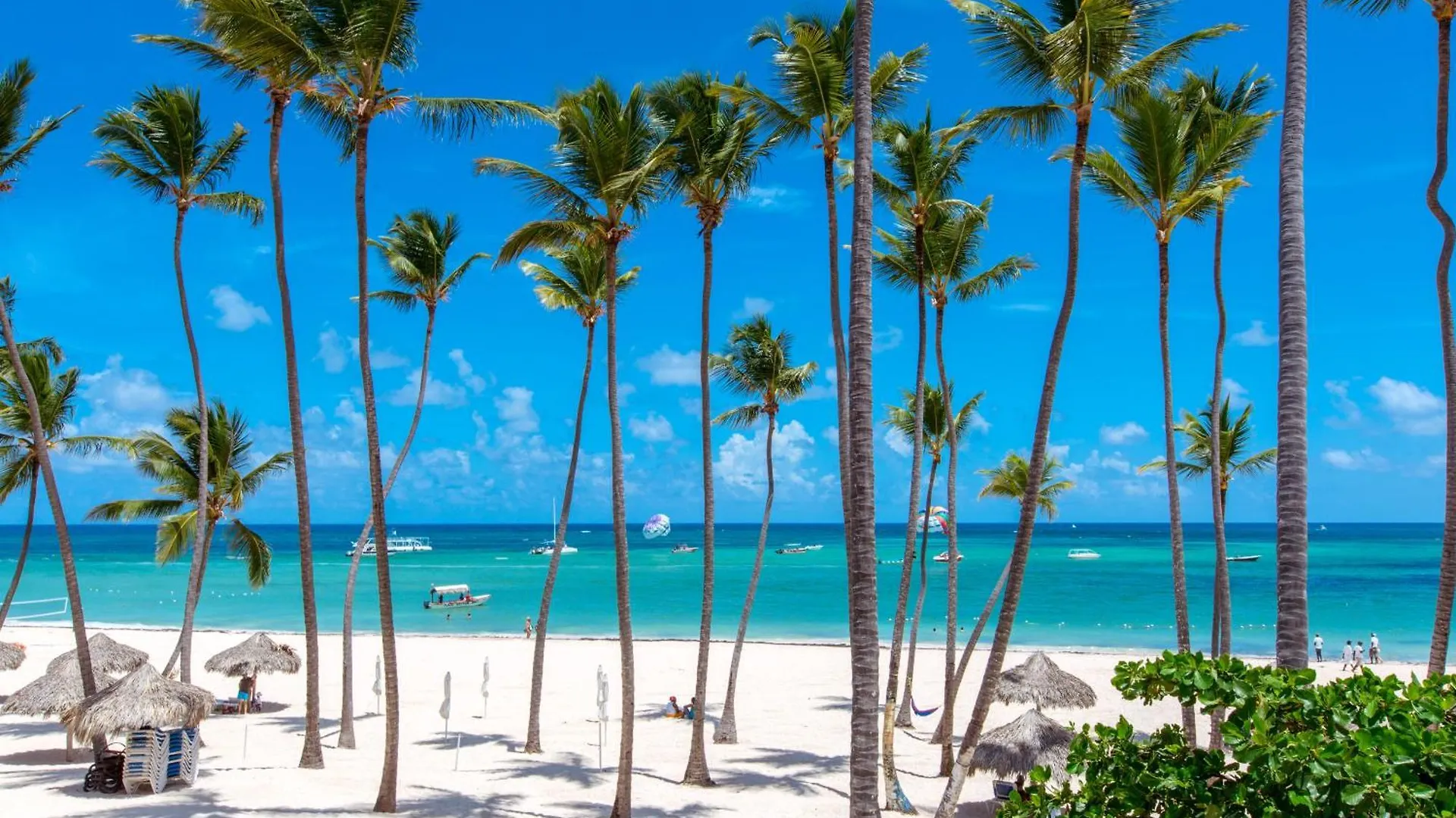 公寓式酒店 Caribbean Villas And Suites - Playa Los Corales - Wifi, Beach Club